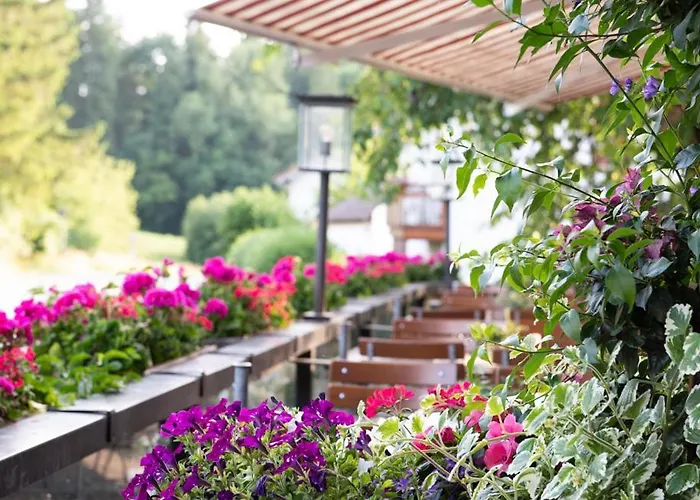 Hotel Hotel-gasthof Huber 3*